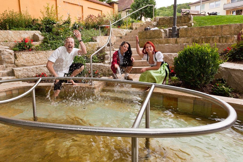 Hotel-Gasthof Zur Sonne بابنهايم المظهر الخارجي الصورة